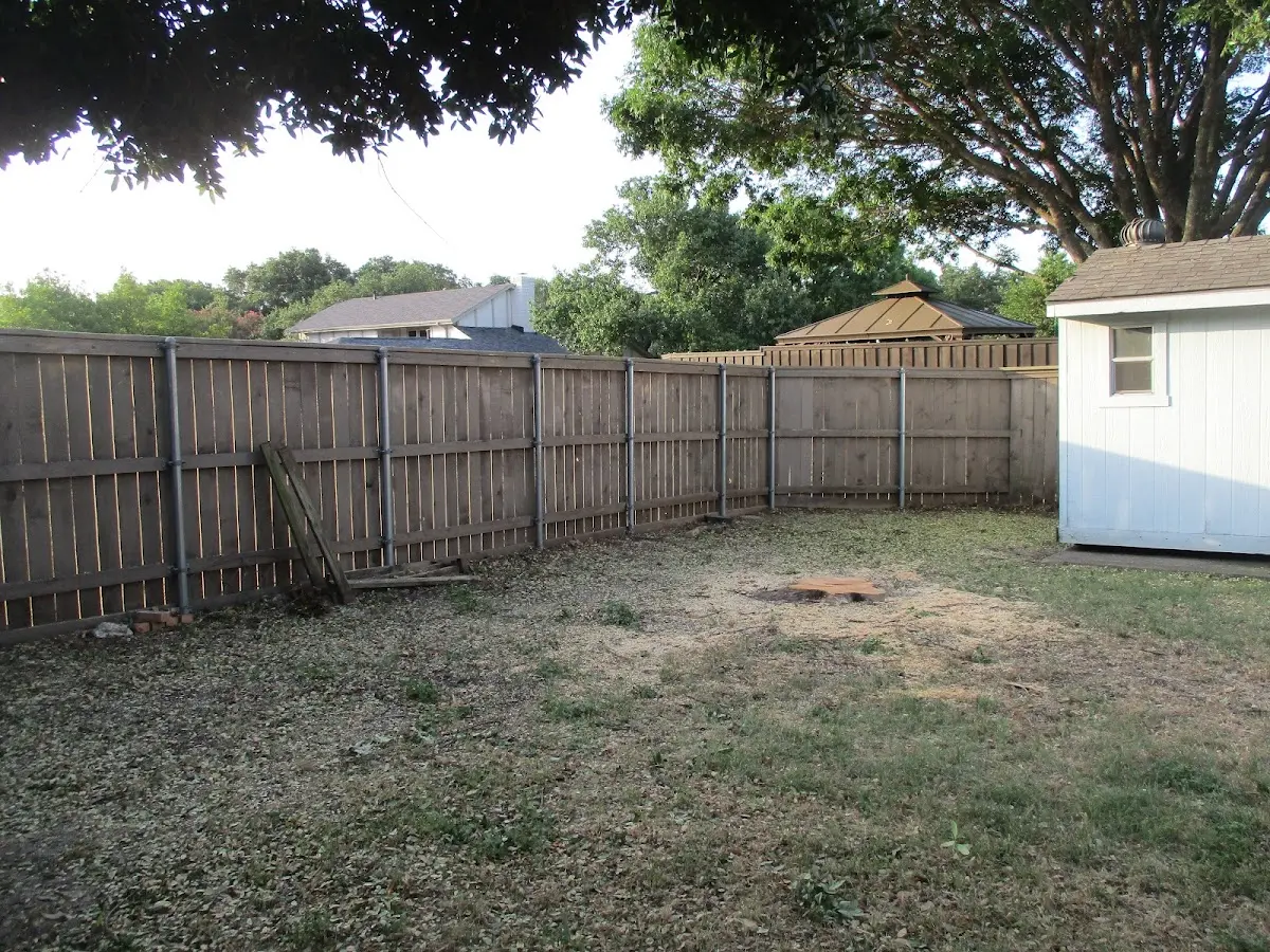 Cleared yard after professional tree removal in South Wellfleet